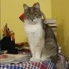 Отзыв от Катя Туманова